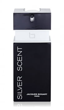 Perfume Sílver Scent Edt 100ml Tradicional Masculino Eau De Toilette